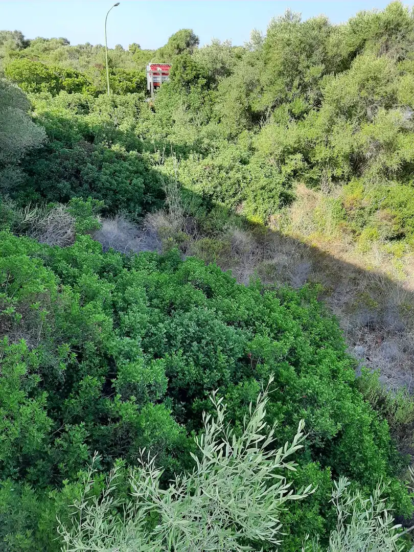 Residential land for sale in Carrer de la Punta Reina 57, imagen 3