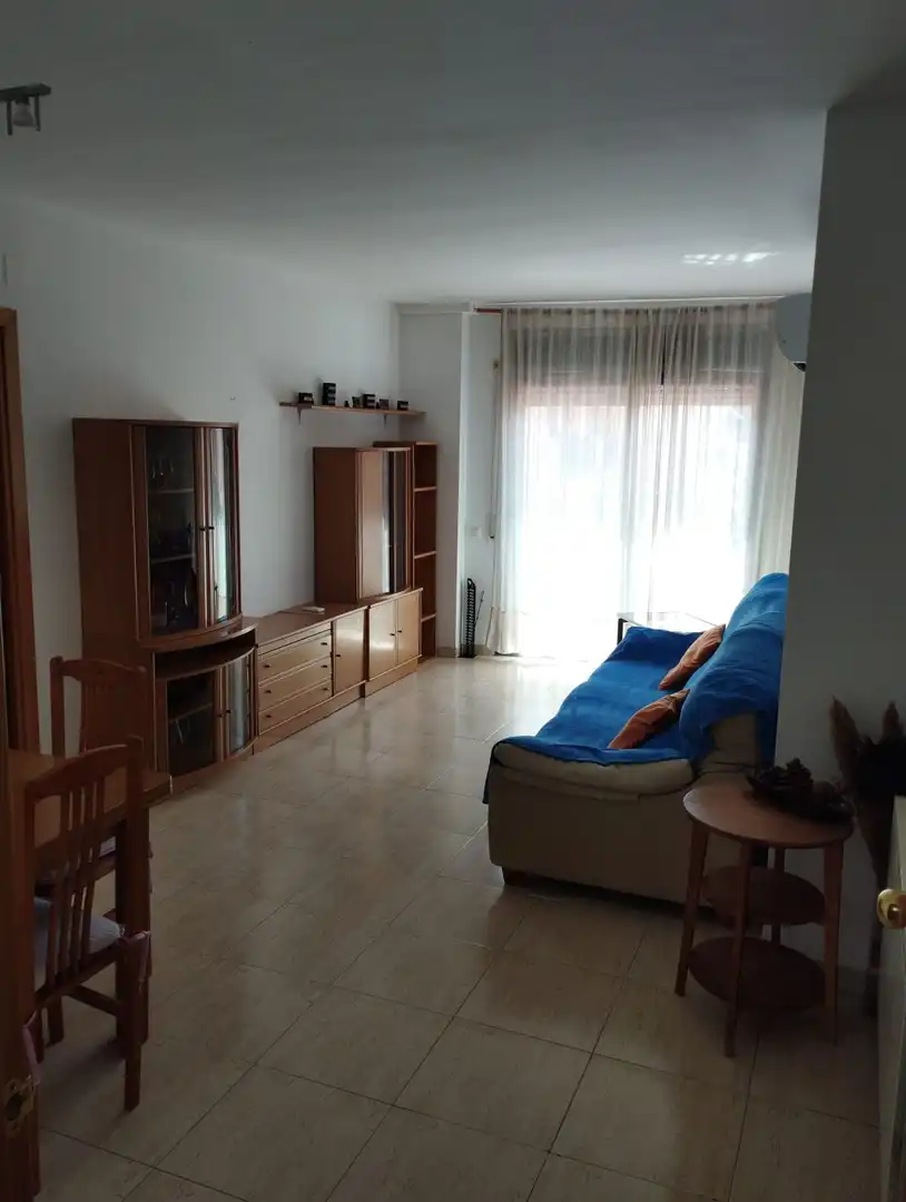 Sala de estar de Piso en venta en Esparreguera con Terraza