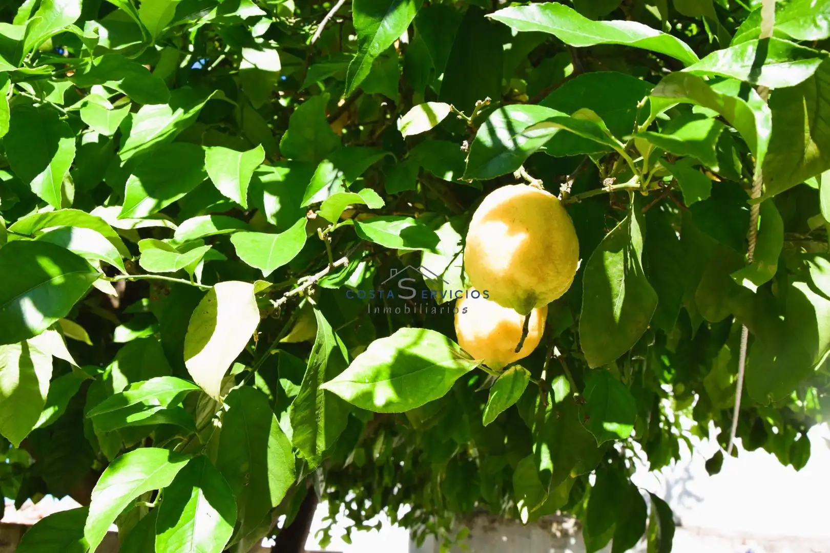 Jardí de Casa o xalet en venda en Gibraleón amb Traster