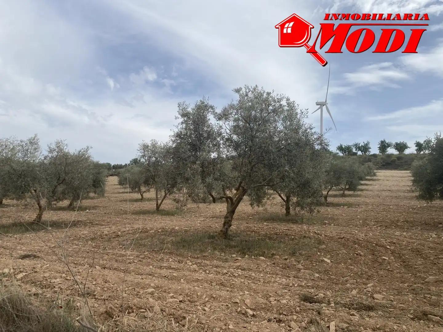 Terrenys i solars en venda a Padul, imagen 28