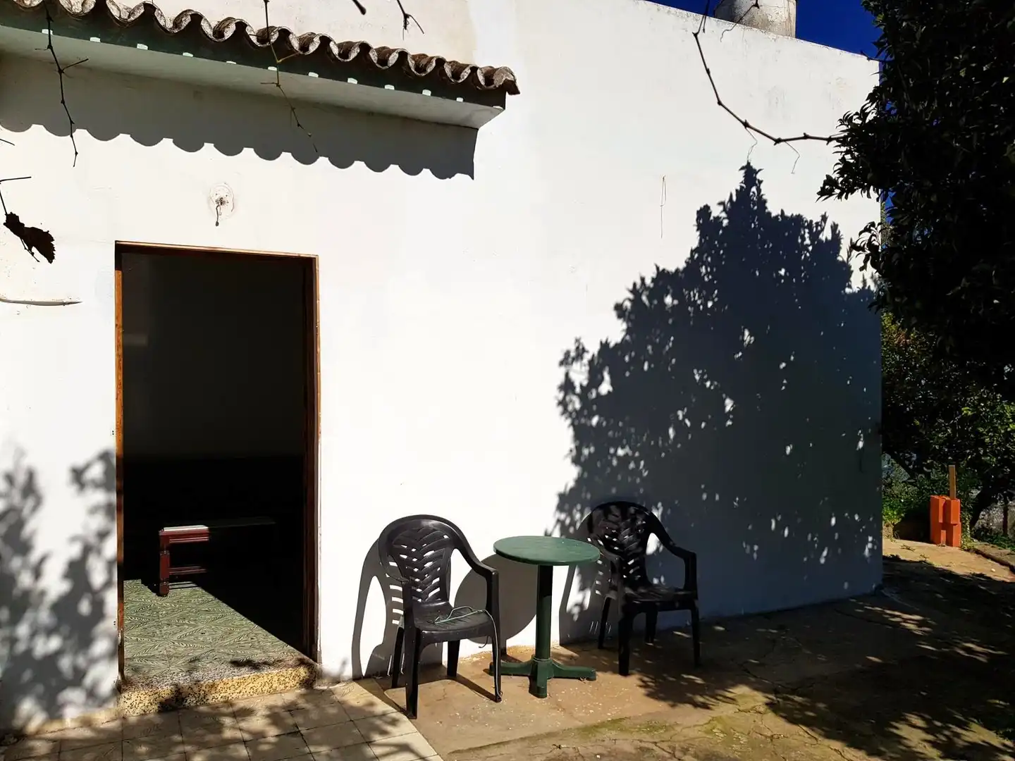 Jardín de Casa o chalet en venta en Teror con Jardín privado