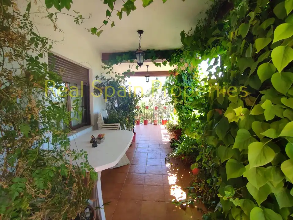 Casa rústica amb terrassa en venda a Vélez-Blanco, imagen 13