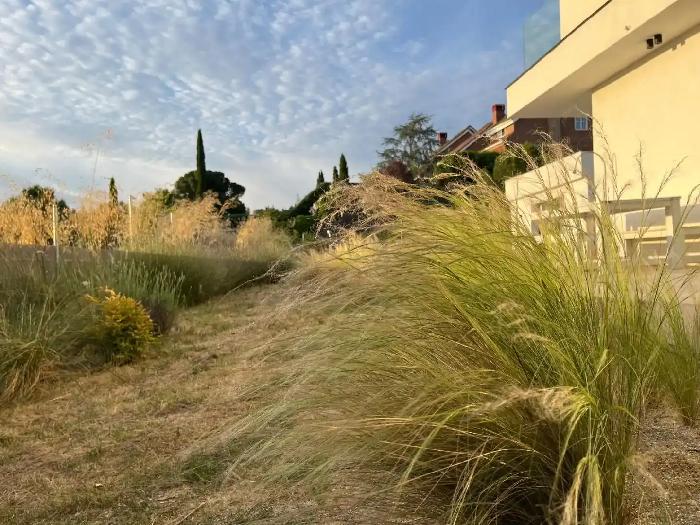 Garden of Houses for sale in Los Peñascales