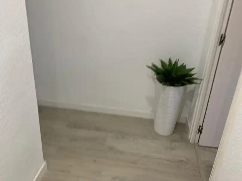 Flat for rent in Elche / Elx  with Furnished