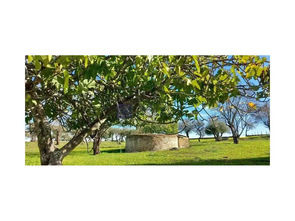 Chalet en venta en Calle Descubrimiento De America, imagen 19