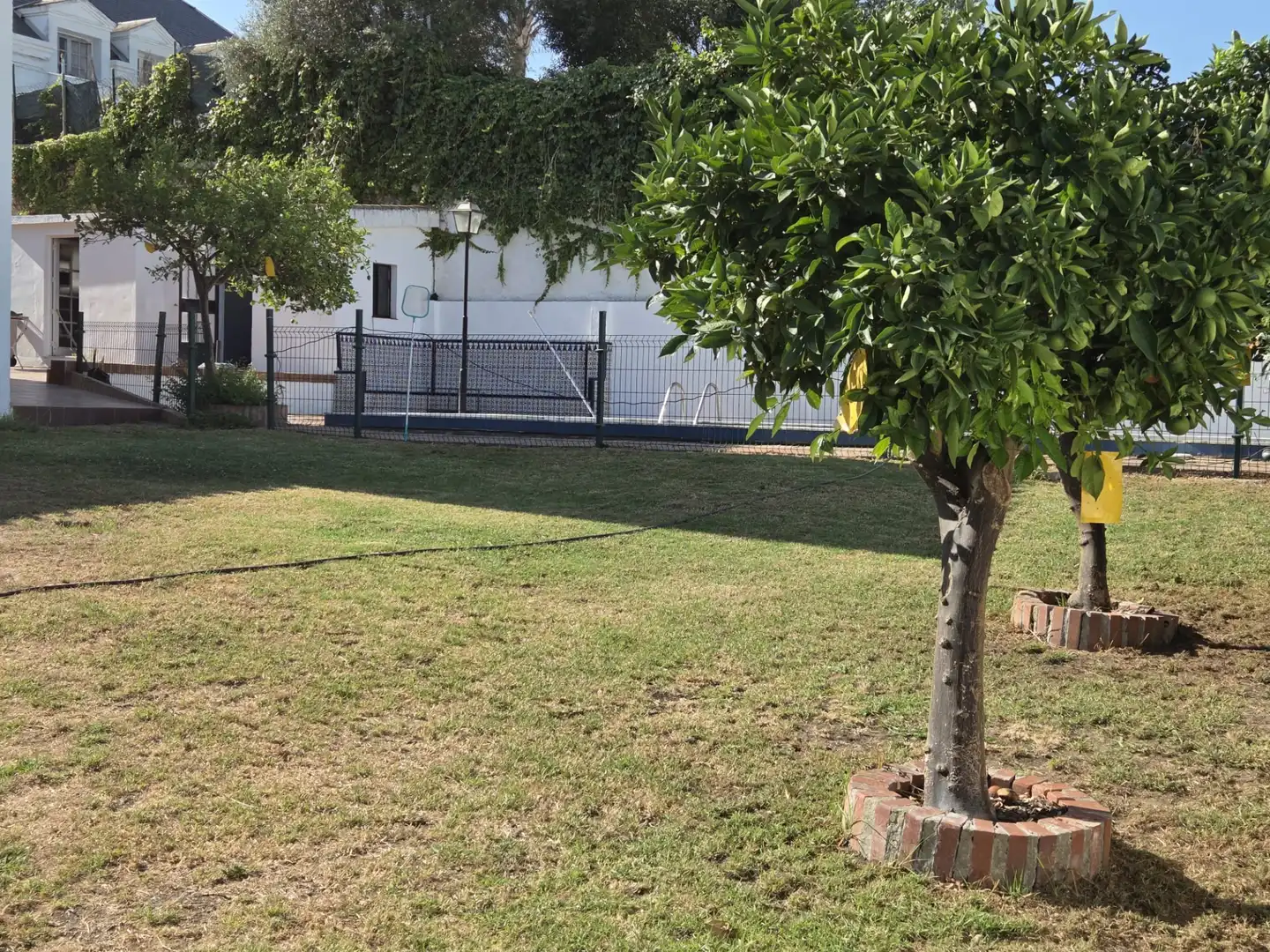 Garden of Houses for sale in Algeciras  with Swimming Pool and Furnished