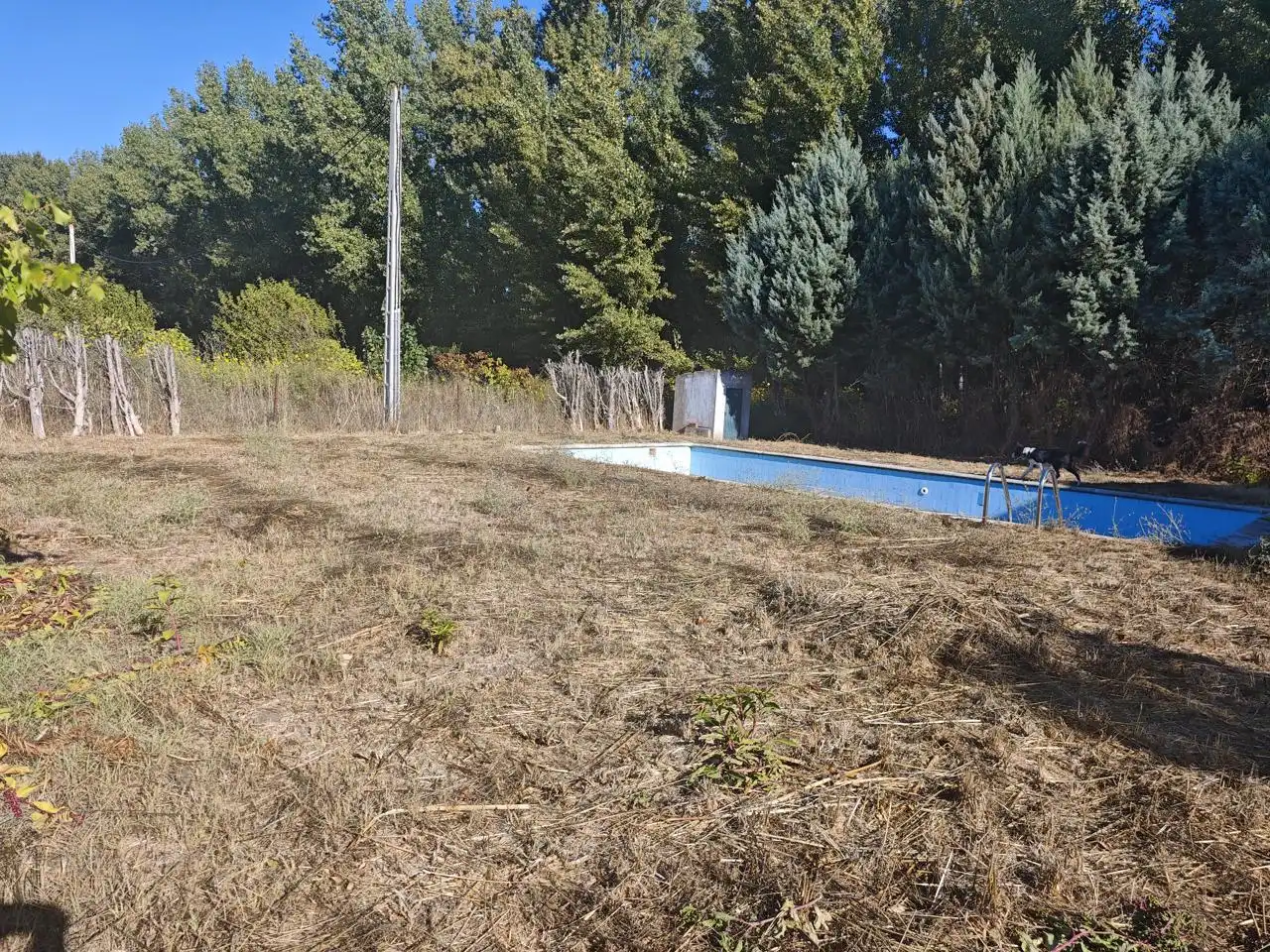 Finca rústica en venda en Plasencia amb Jardí privat i Piscina