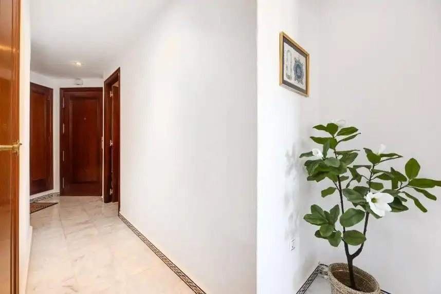 Appartement compact avec terrasse à vendre à Avenida ROENTGEN 3, imagen 18