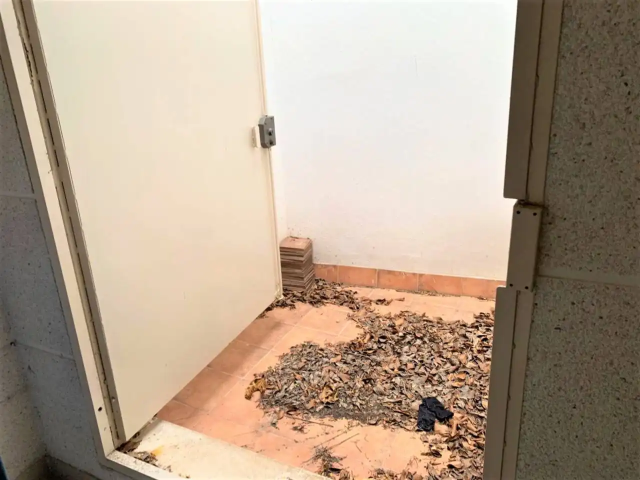 Gewerbefläche zum Verkauf in Zona Avenida al Vedat, imagen 10