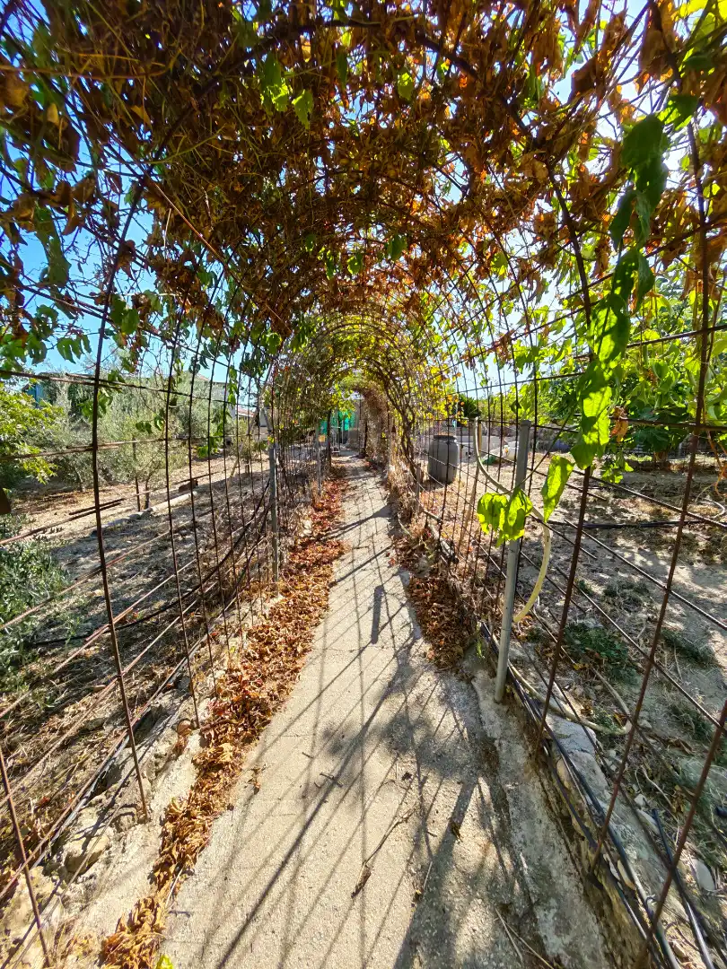 Casa rústica amb jardí en venda a Alquería - Torrealquería, imagen 36