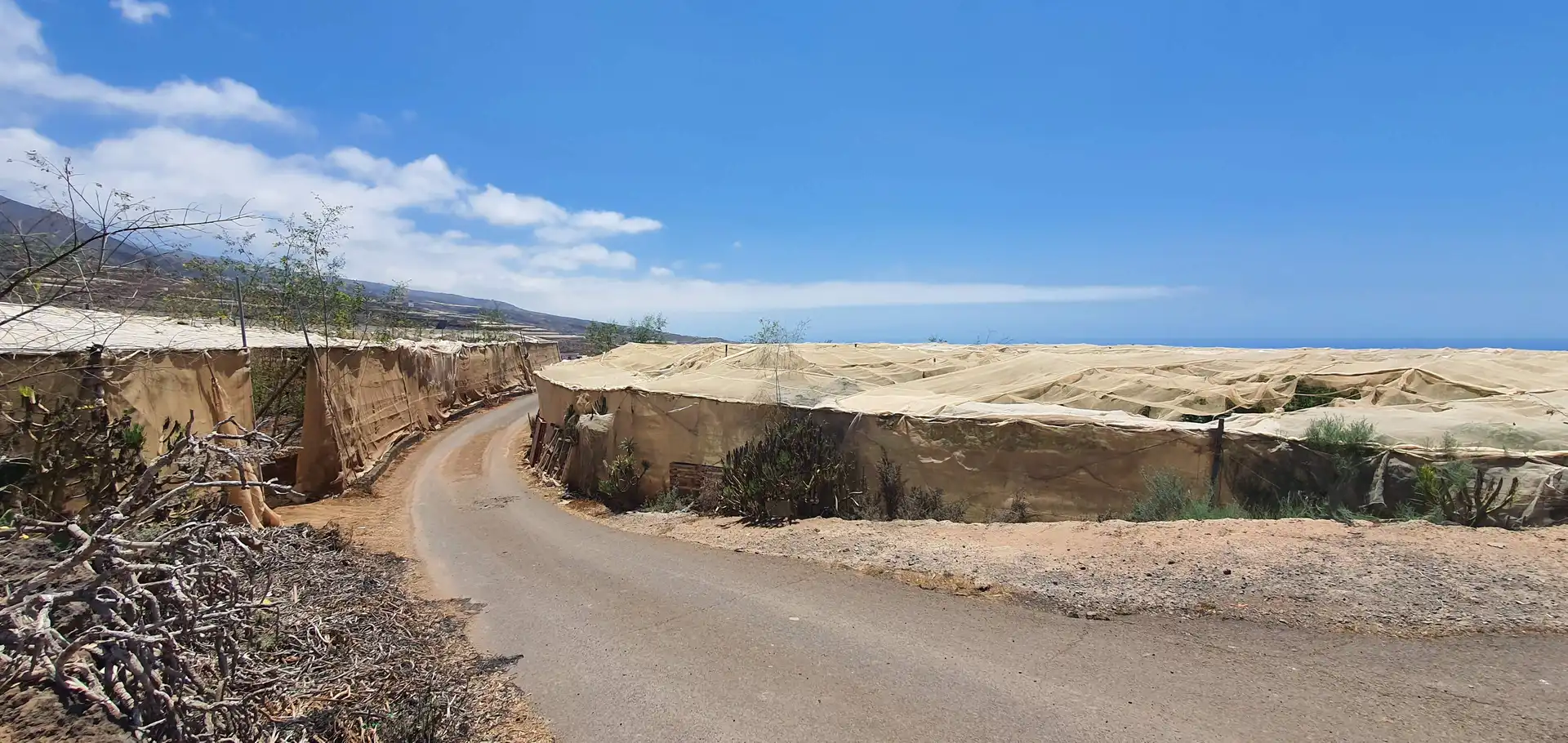 Terreny rústic en venda a Playa de San Juan, imagen 15