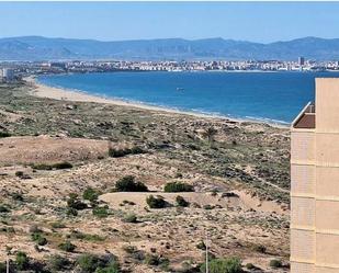 Exterior view of Apartment for sale in Elche / Elx  with Private garden, Terrace and Balcony