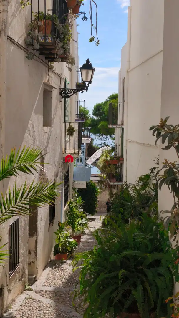 Vista exterior de Casa o xalet en venda en Peñíscola / Peníscola amb Terrassa, Moblat i Balcó