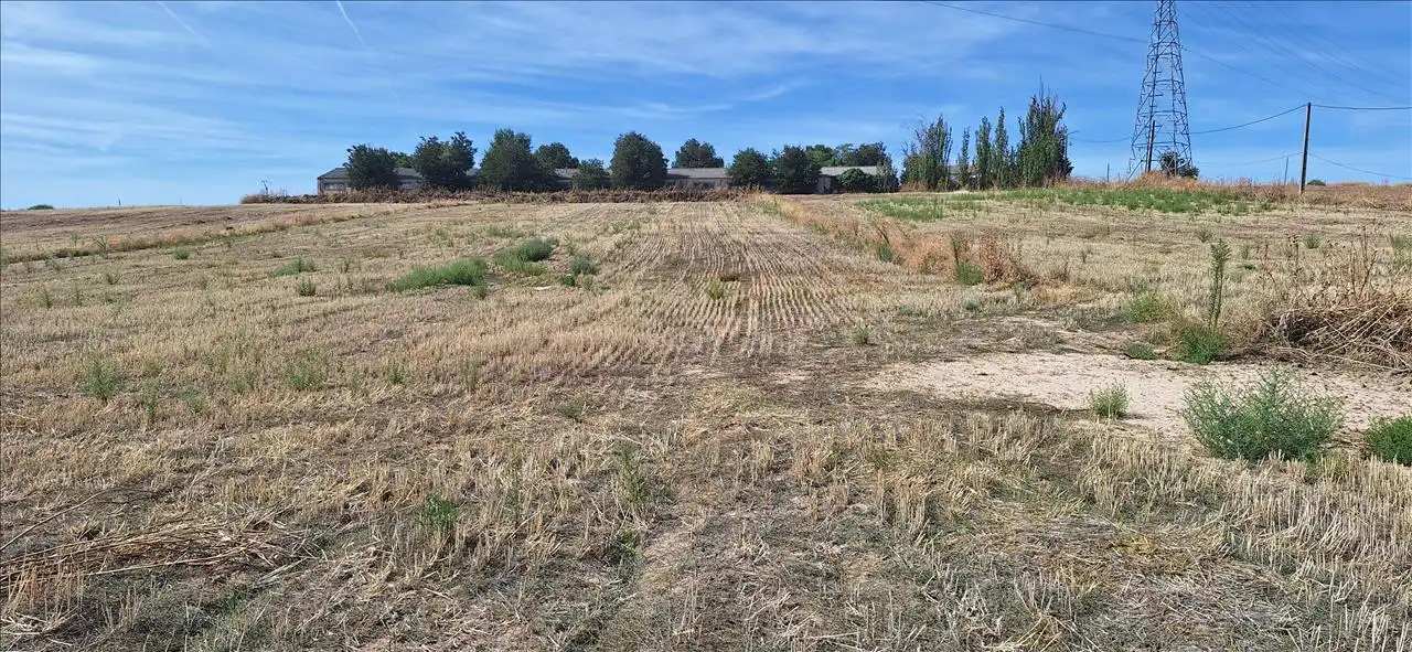 Residential land for sale in SECTOR 14 DEL PGOU, imagen 6