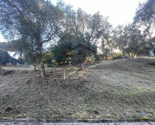 Industrial land for sale in Maçanet de la Selva
