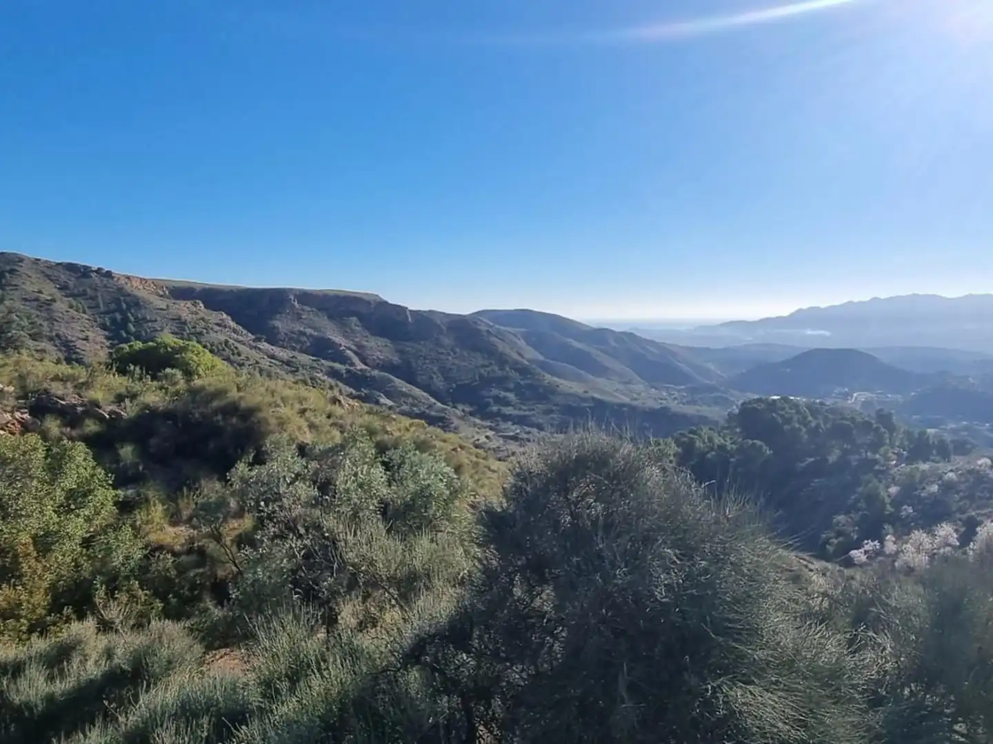 Exterior view of Land for sale in Bédar