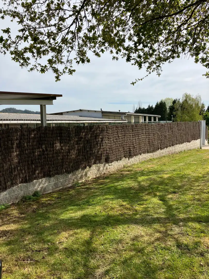Exterior view of Houses for sale in Abegondo