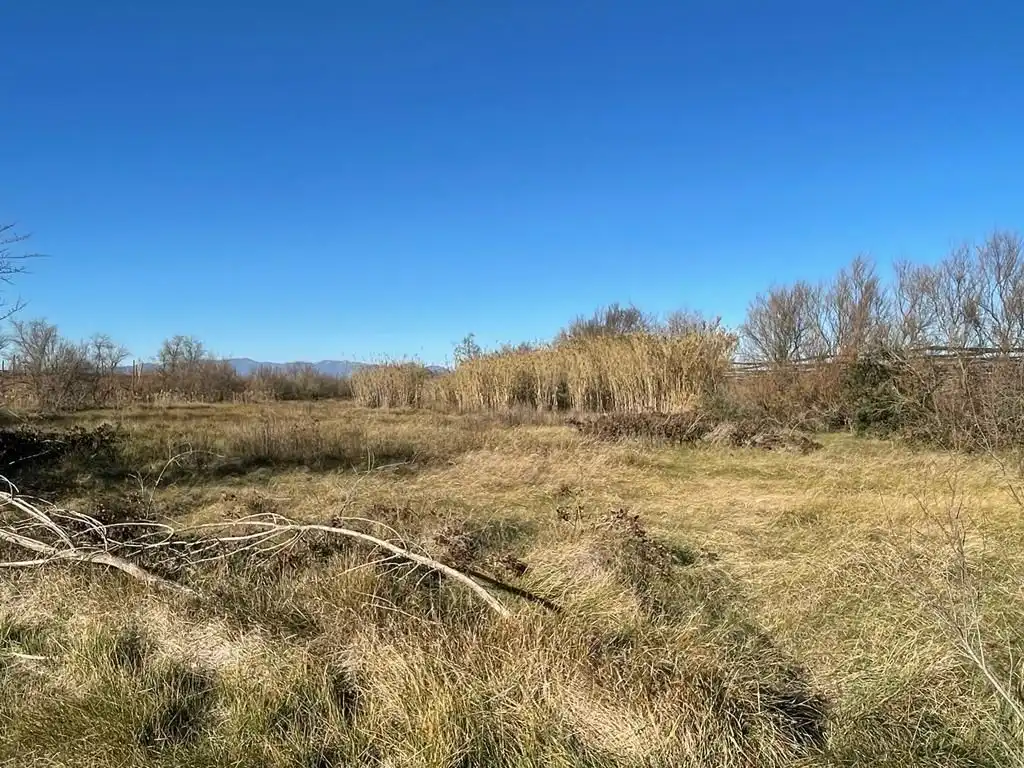 Rural land for sale in Sant Pere Pescador, imagen 42