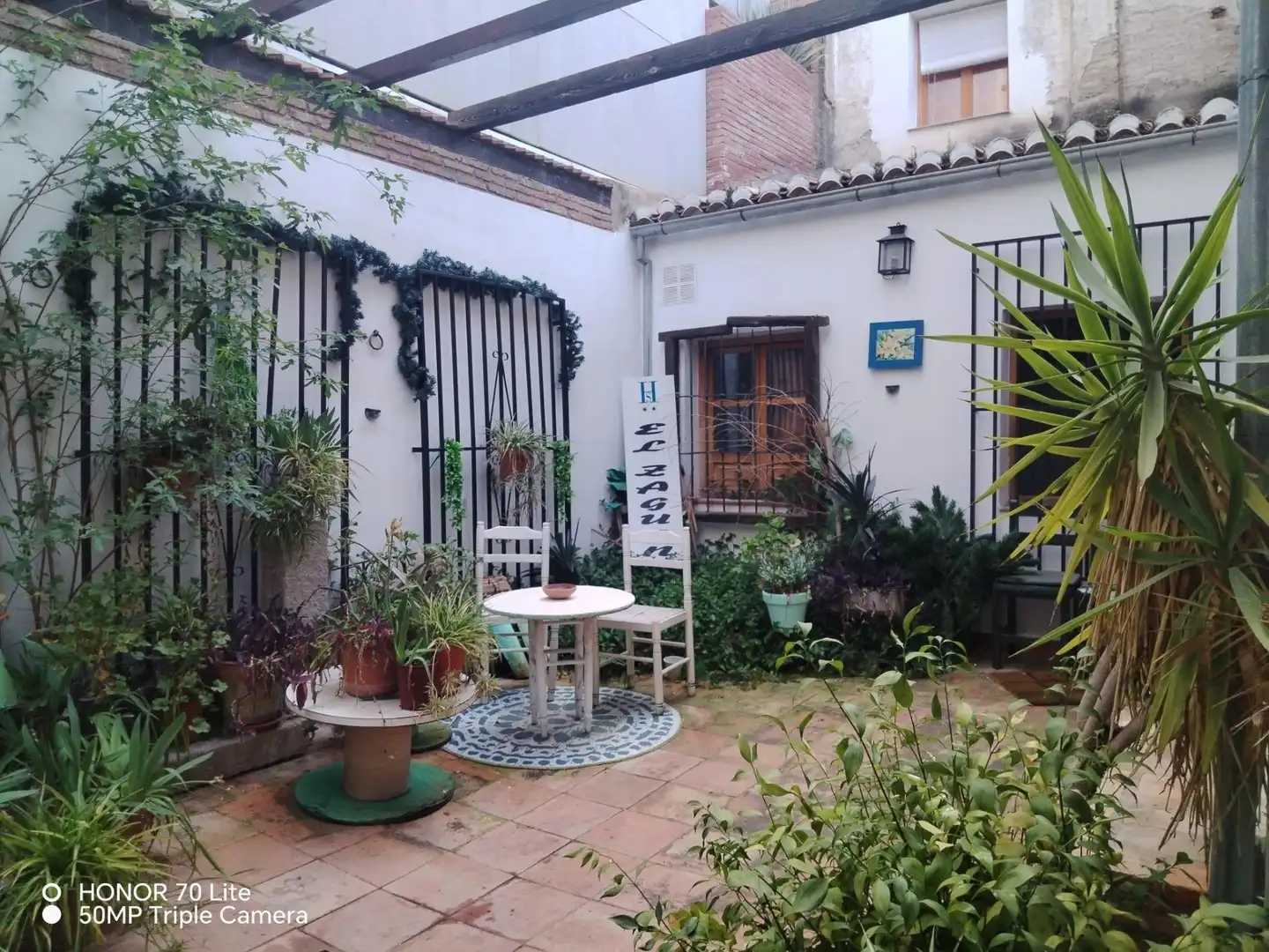 Inmuebles singulares en venta en Centro, imagen 2