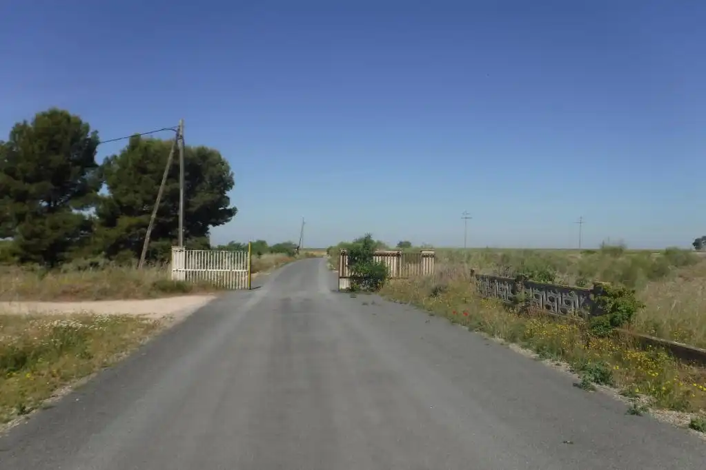 Rural land for sale in PLUTO, imagen 7