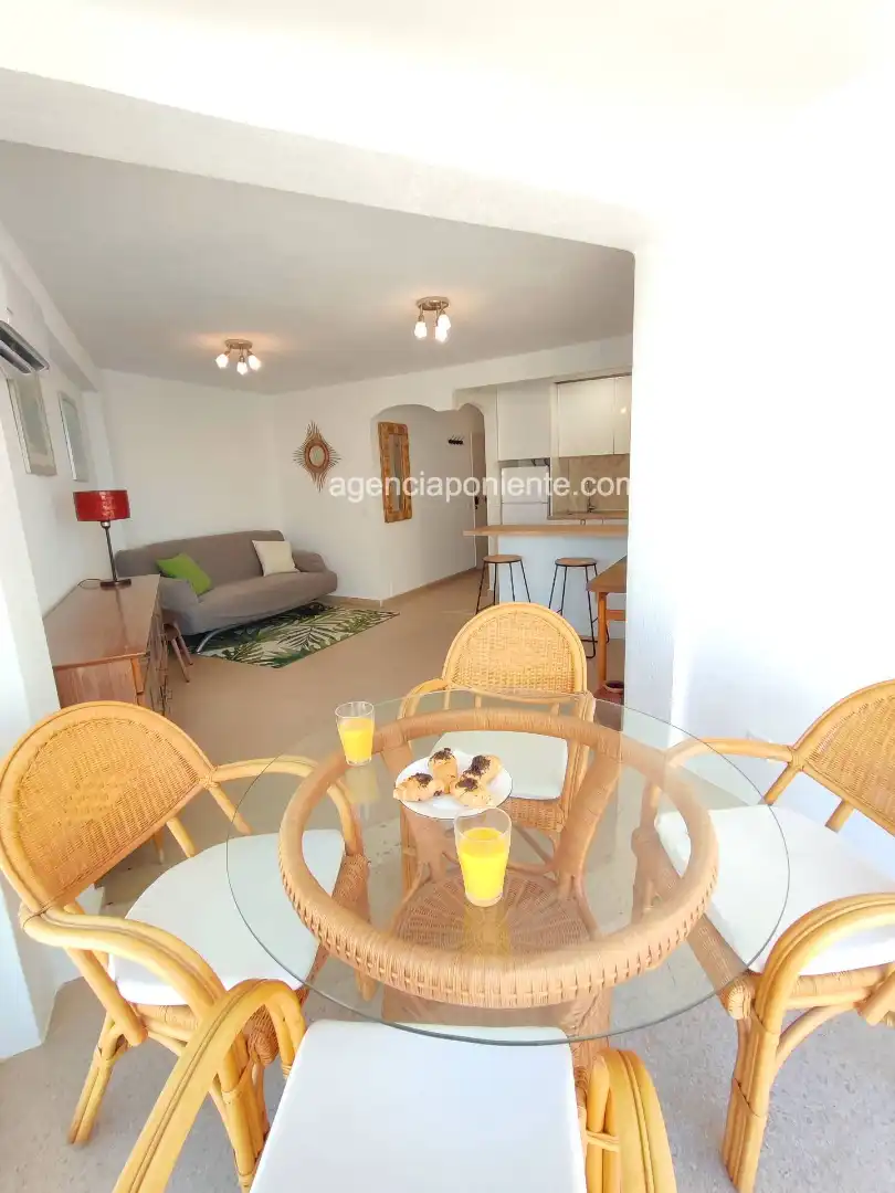 Apartments for rent in Avenida Murtal, Playa Poniente
