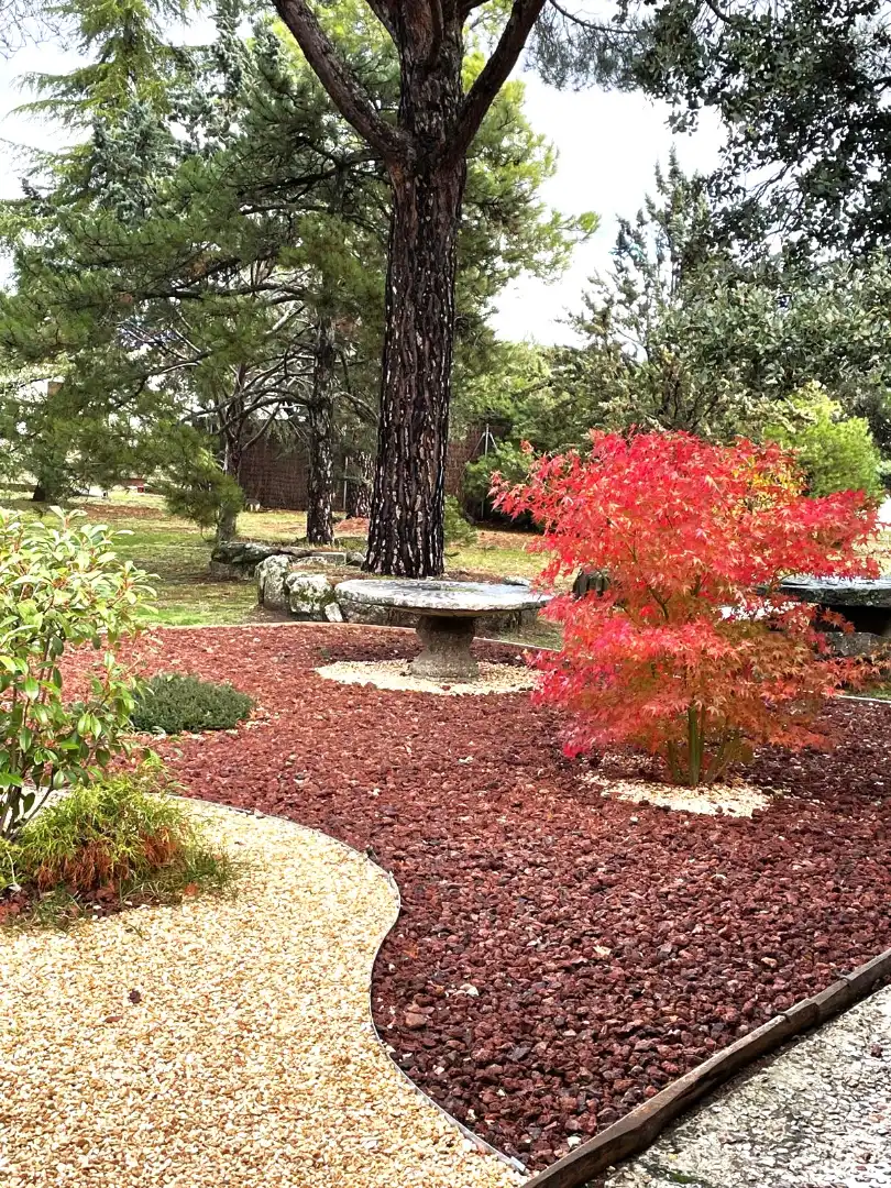Jardí de Casa o xalet en venda en Galapagar amb Aire condicionat, Calefacció i Jardí privat