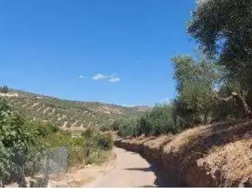 Exterior view of Land for sale in Beas de Segura, Jaén
