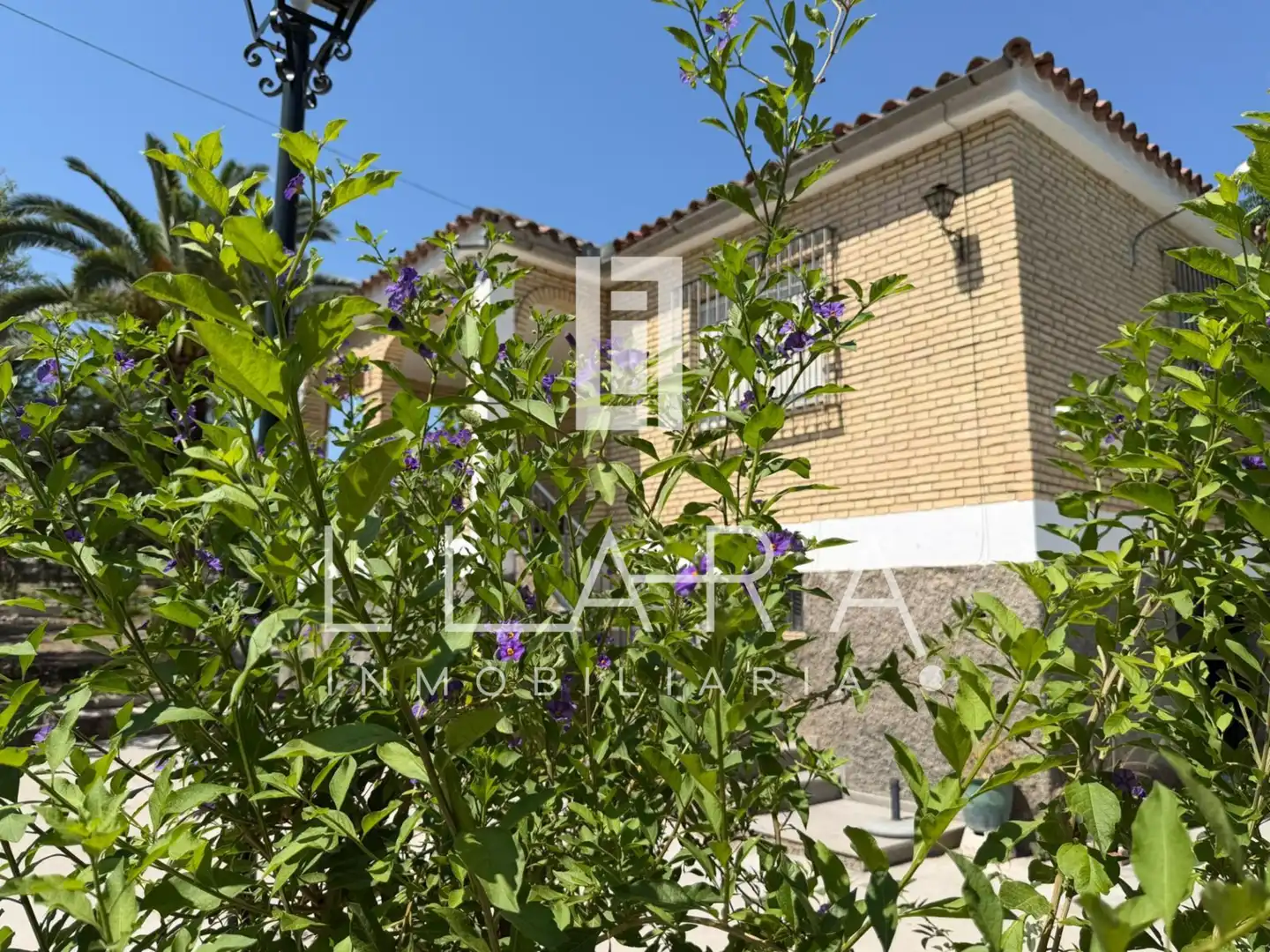 Vista exterior de Casa o chalet en venta en Lucena con Jardín privado, Piscina y Amueblado