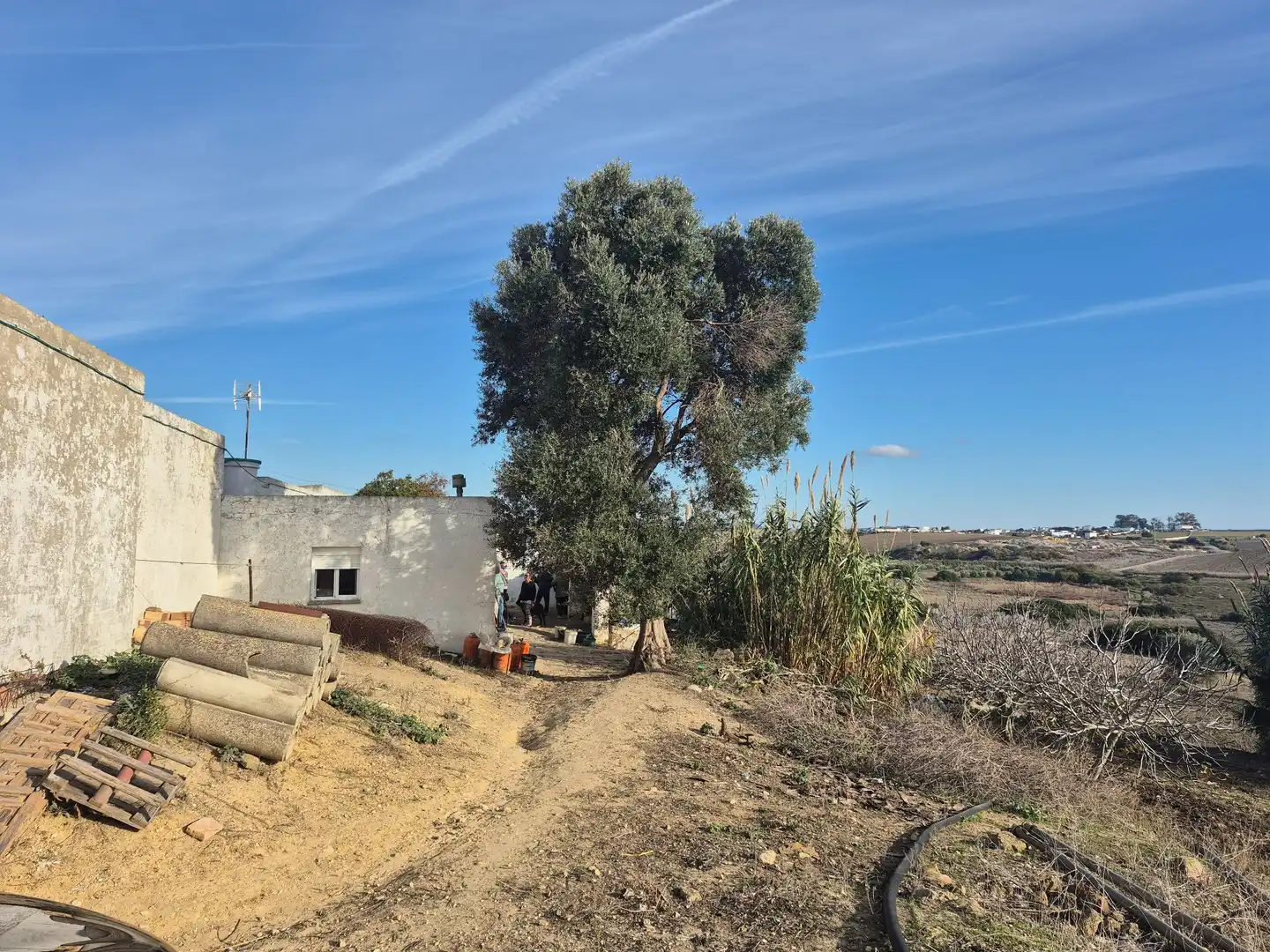 Terreny rústic en venda a Conil, imagen 2