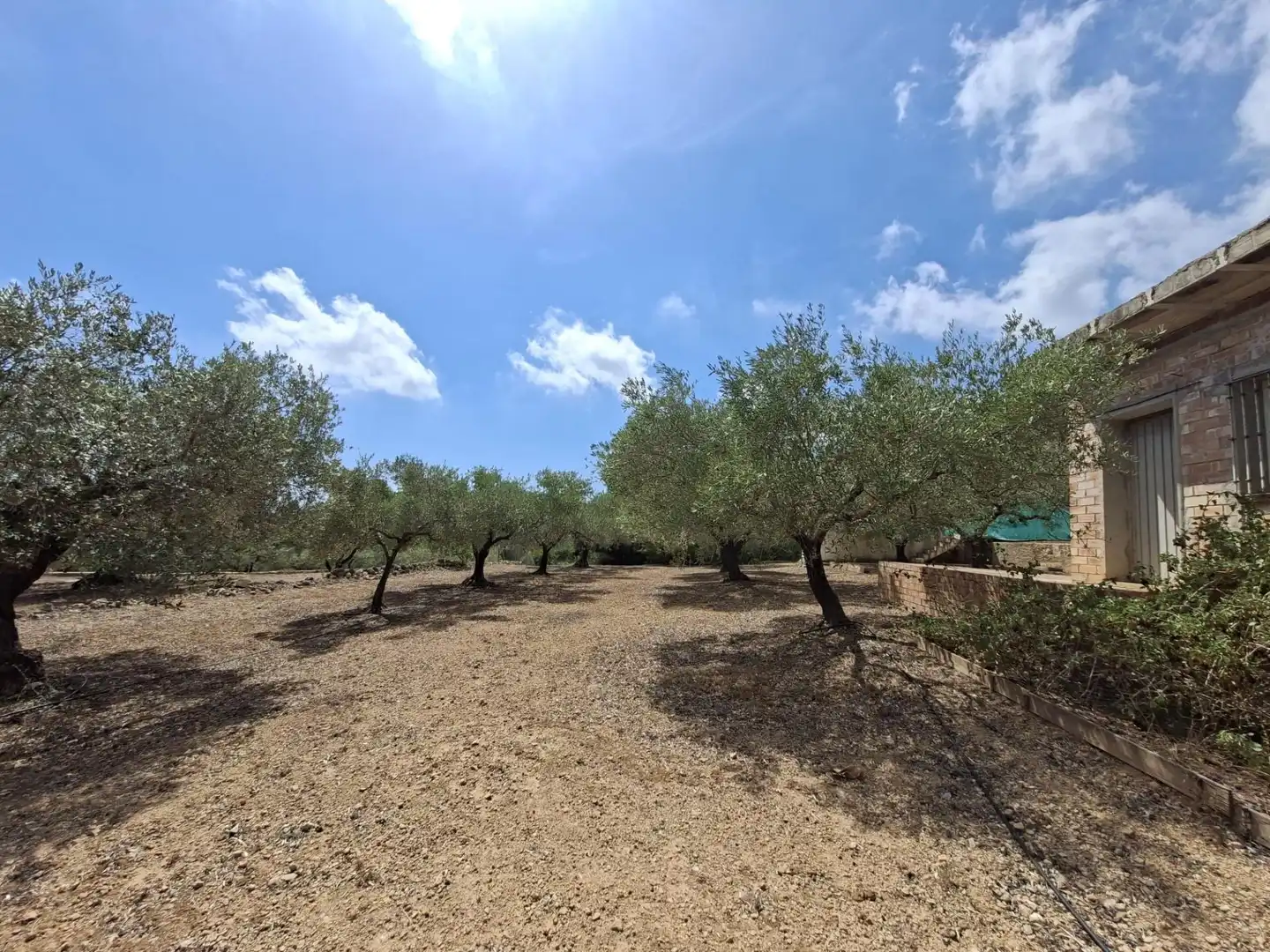 Terreno rustico in vendita a Partida del Mas d'en Civill, imagen 2