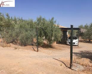 Country house for sale in Chauchina