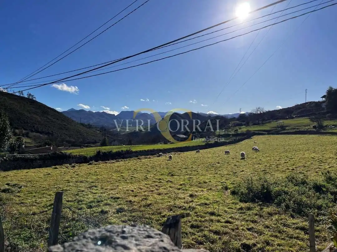 Terreno residencial en venta en Collía, imagen 6