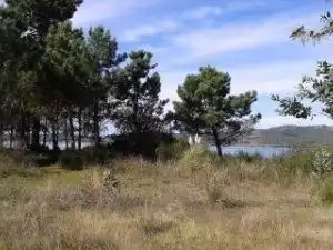 Residential land for sale in Noalla, imagen 8