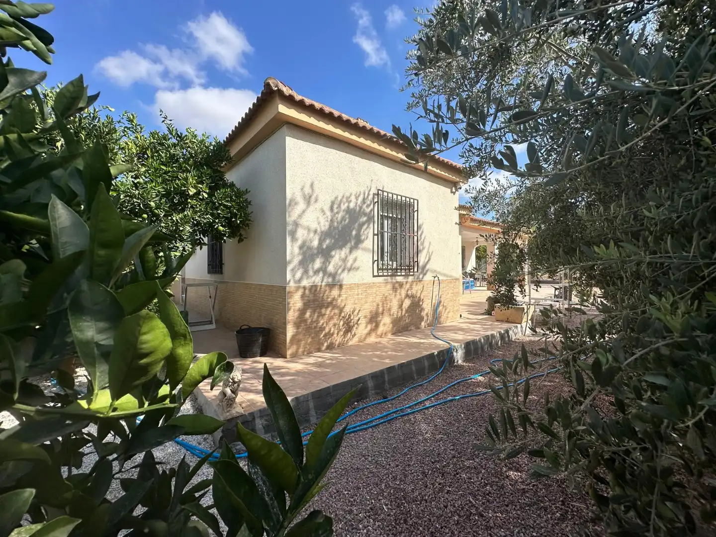 Casa con giardino in vendita a Crevillent, imagen 35