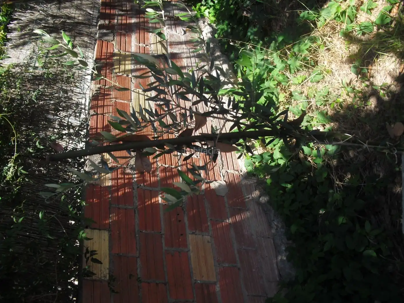 Wohnbaugrundstück zum Verkauf in Carrer de Múrcia 8, imagen 2