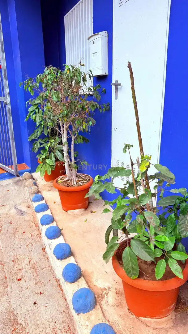 Jardí de Casa o xalet en venda en San Cristóbal de la Laguna amb Alarma