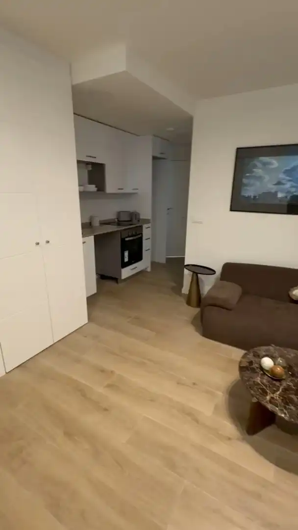 Sala d'estar de Estudi en venda en  Madrid Capital amb Aire condicionat