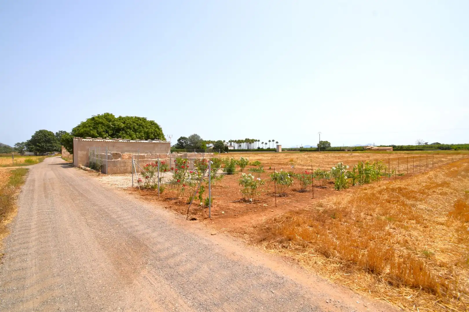 Finca rústica en venda en Sa Pobla amb Terrassa