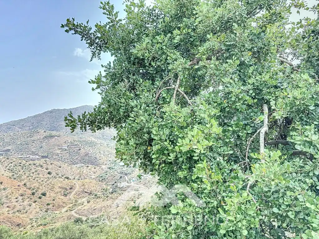Casa o chalet en venta en Arenas