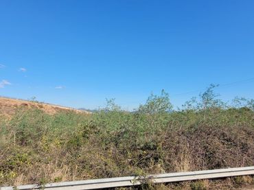 Terreno residenziale in vendita a Camí de Paterna - Lloma del Calderer