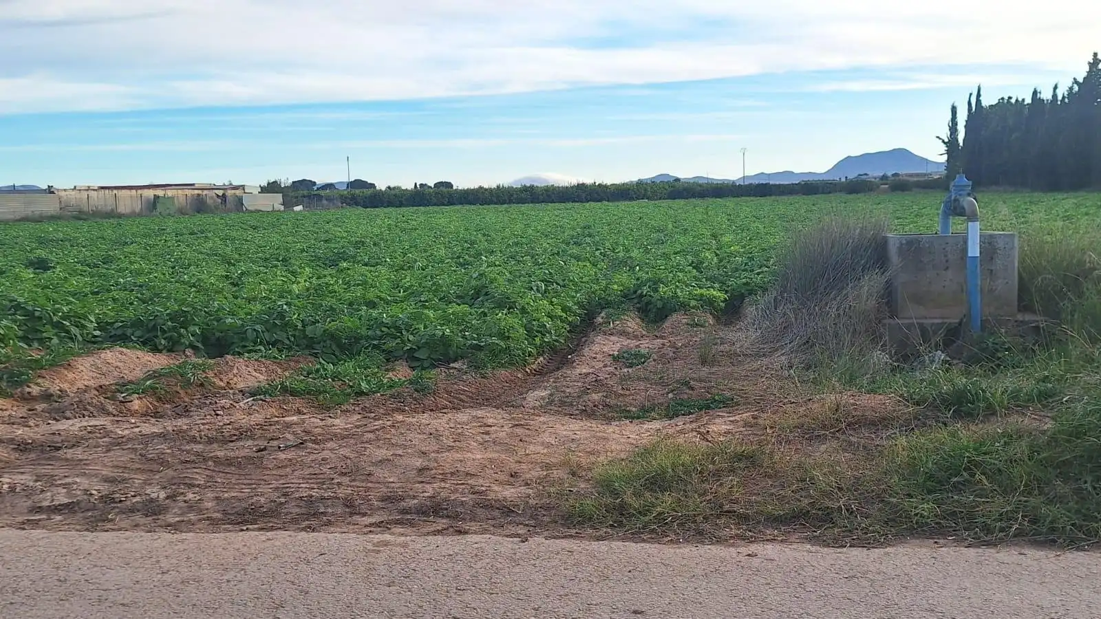 Rustikales Grundstück zum Verkauf in Cartagena ciudad