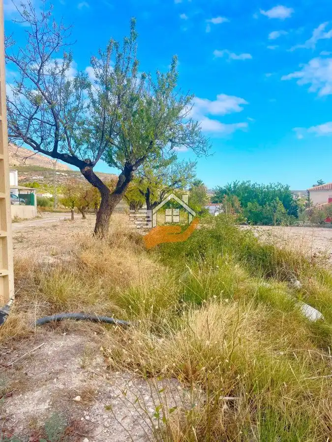 Terrenos y solares en venta en Vélez-Blanco, imagen 12