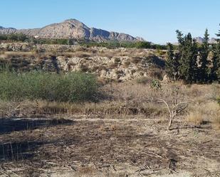 Land for sale in Villanueva del Río Segura