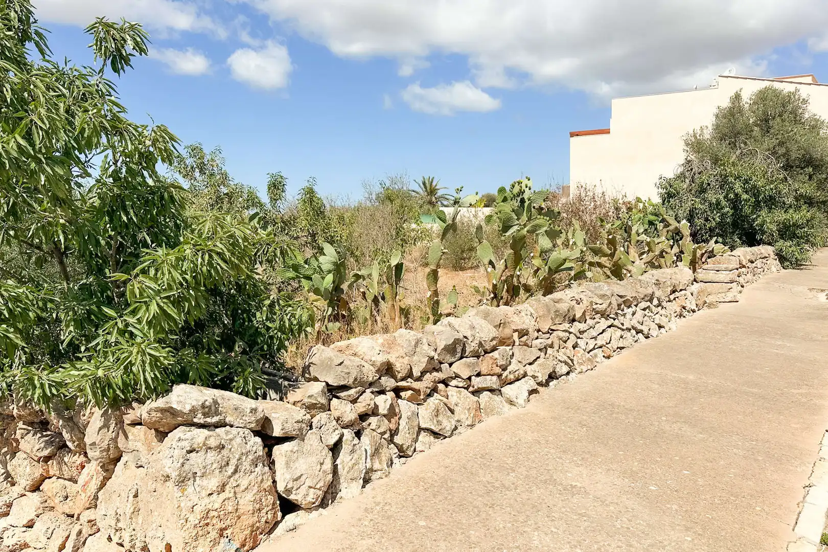 Wohnbaugrundstück zum Verkauf in Ses Salines Poble, imagen 5
