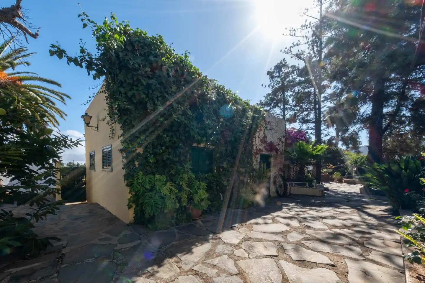 Vista exterior de Casa o xalet en venda en Santa Brígida amb Jardí privat i Terrassa