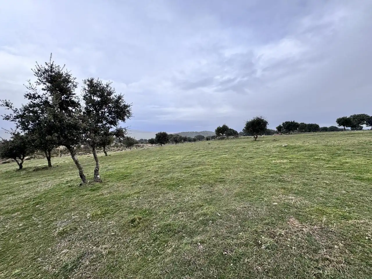 Terreno en venta en Cillán