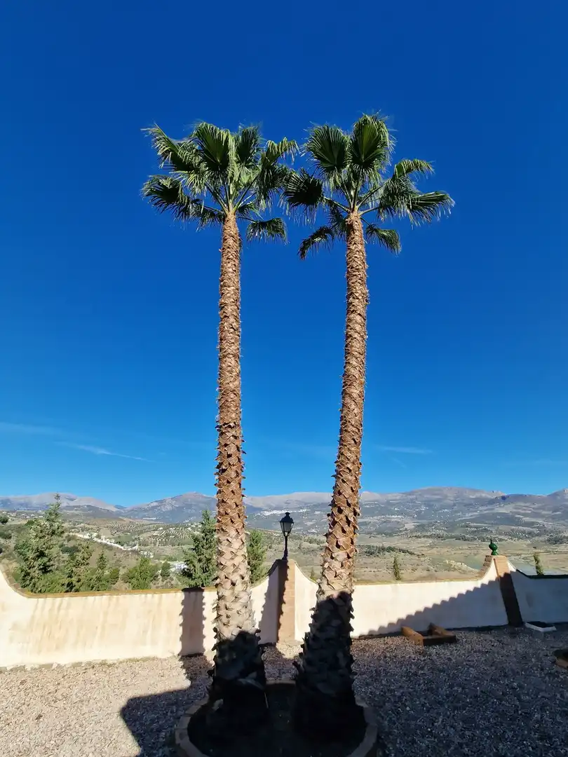 Casa amb piscina en venda a Viñuela, imagen 19