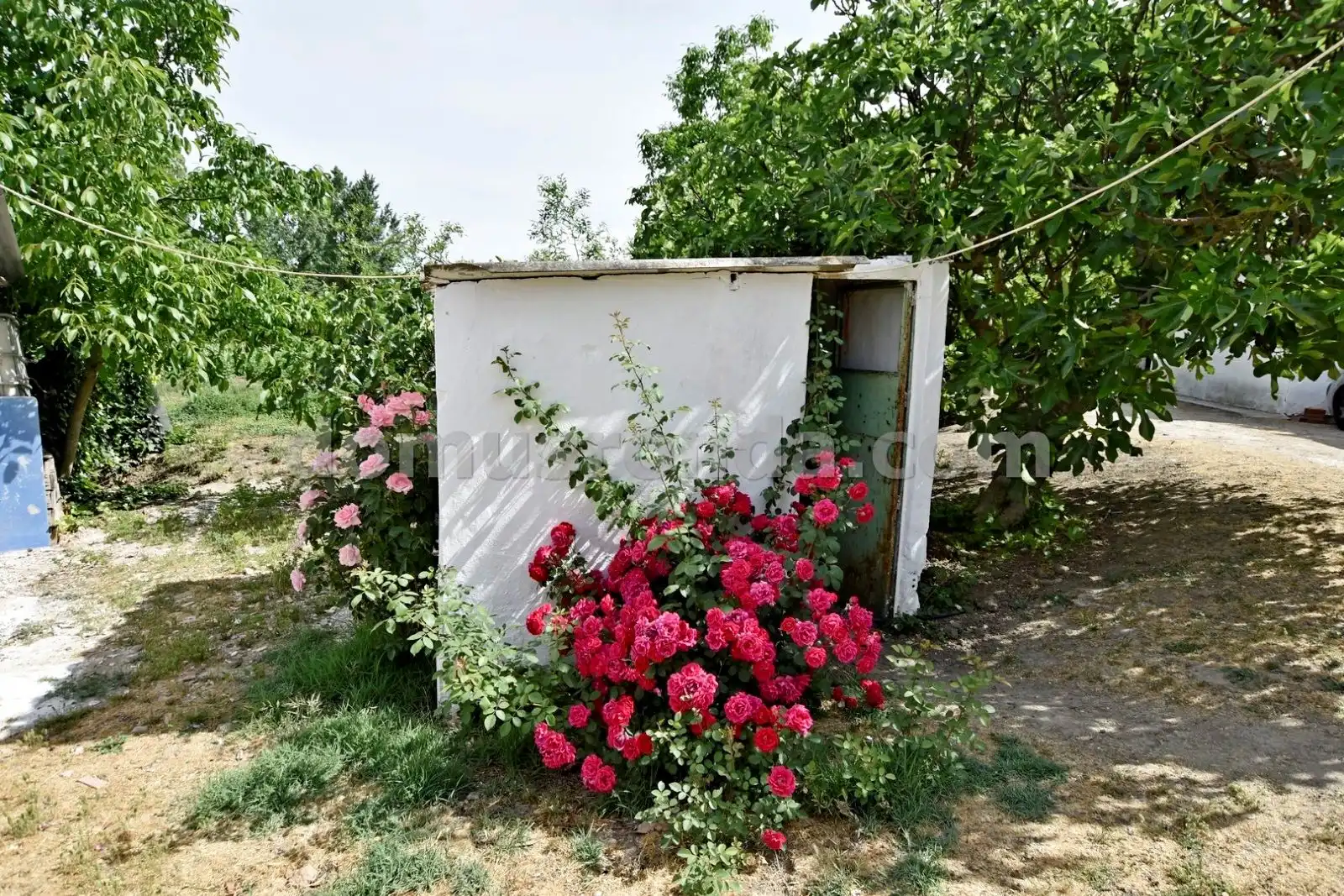Garden of Country homes for sale in Ronda  with Terrace, Storage room and Swimming Pool