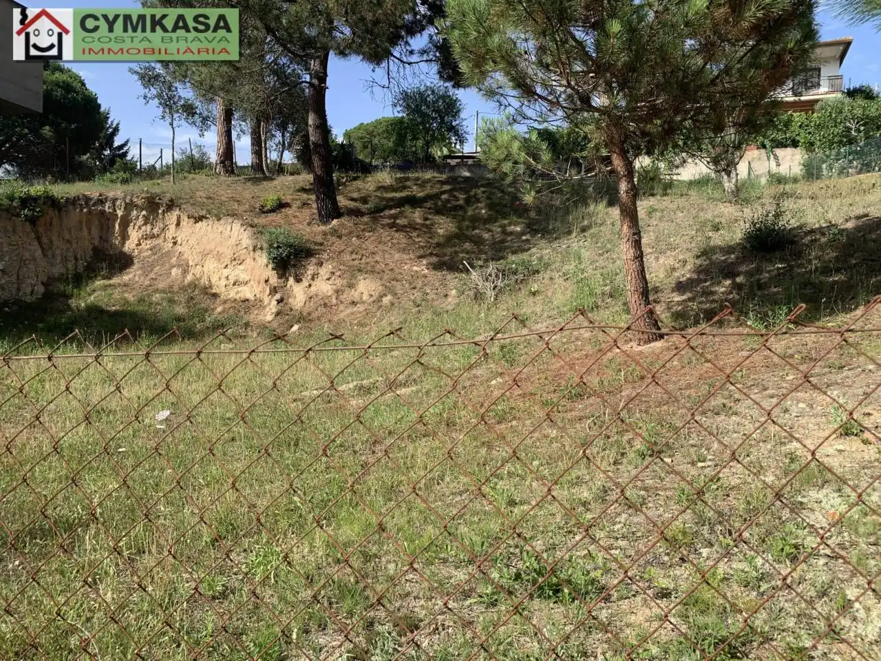 Terreno rustico in vendita a Montbarbat, imagen 3