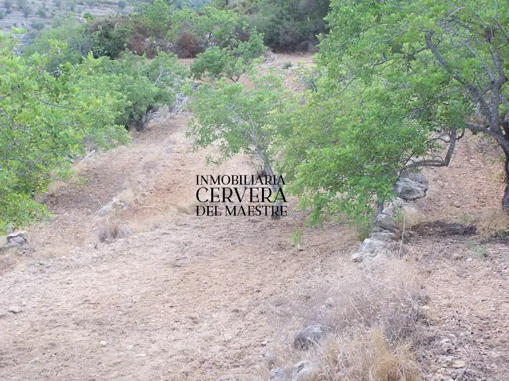 Terreno rustico in vendita a Cervera del Maestre, imagen 3